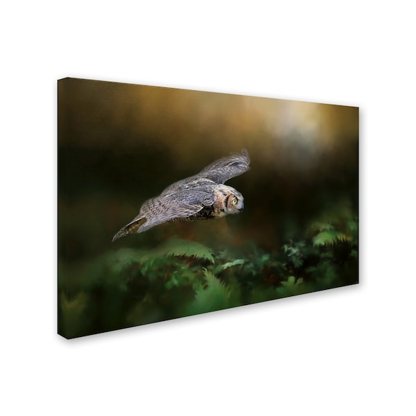 Jai Johnson 'A Night With The Great Horned Owl 1' Canvas Art,12x19